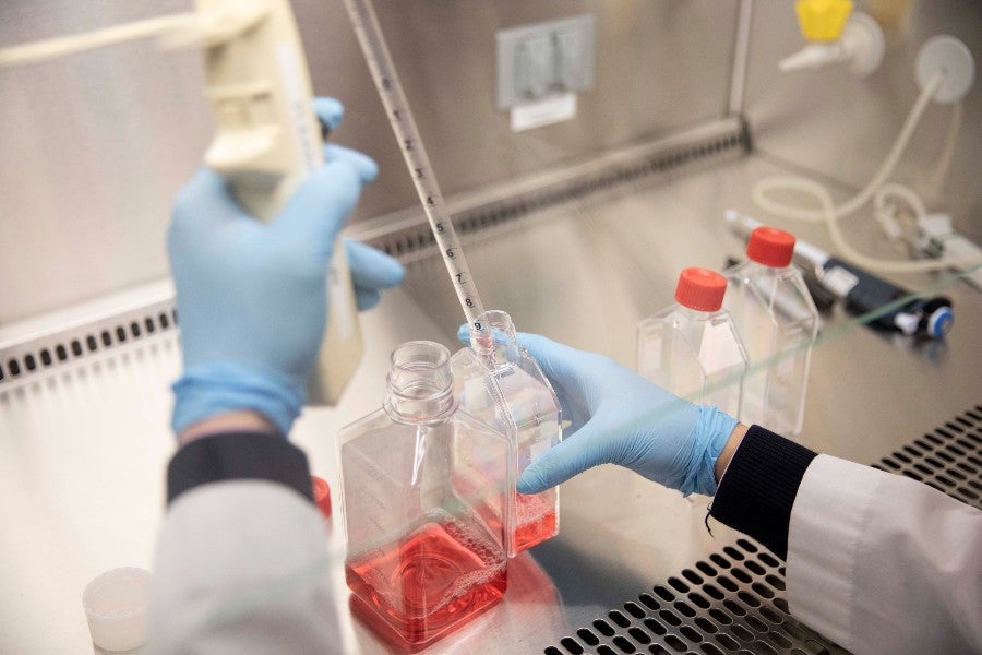 Twelve new faculty have been hired in Health in the past year